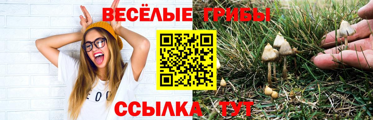 Галлюциногенные грибы ЛСД Магадан